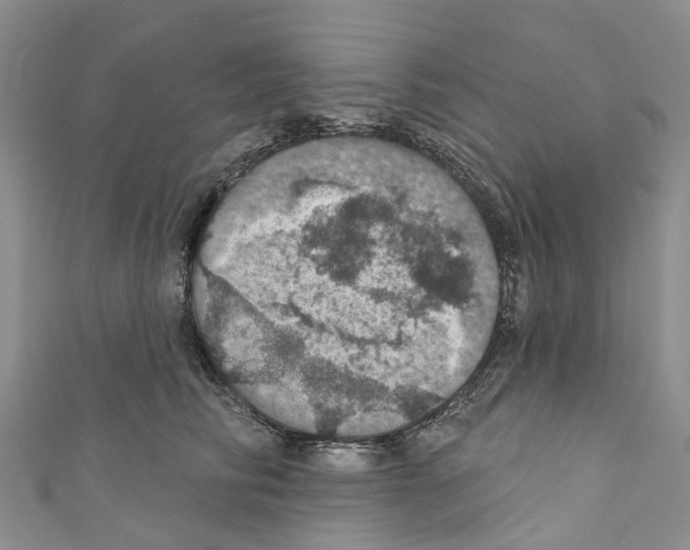 X0000110700710200907241125