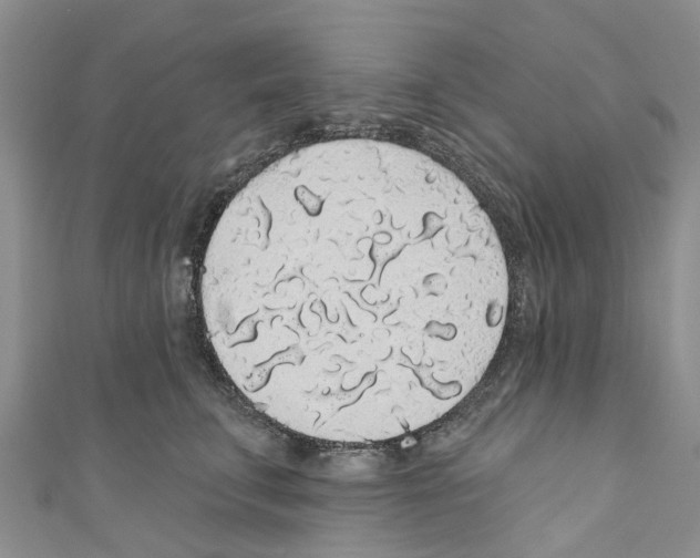 X0000110700711200907241125