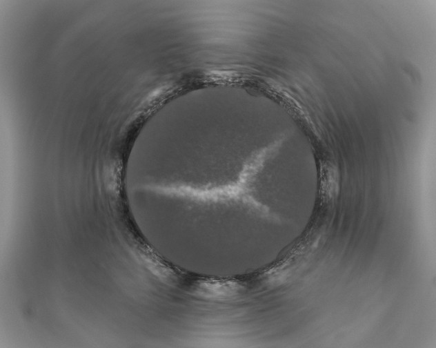 X0000110700712200907241125