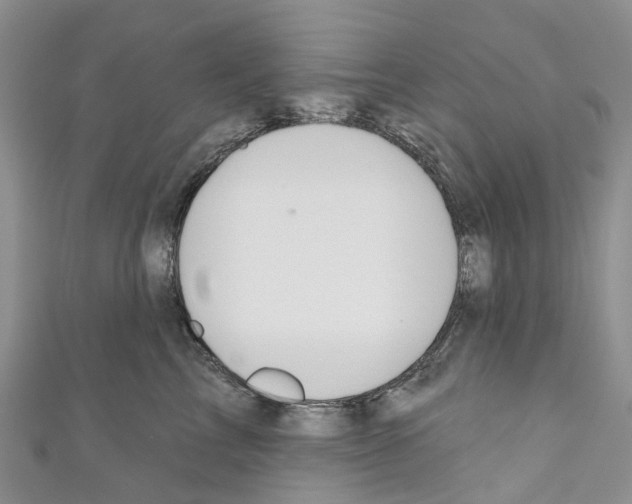X0000110700713200907241125