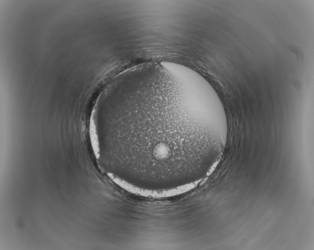 X0000110700716200907241125