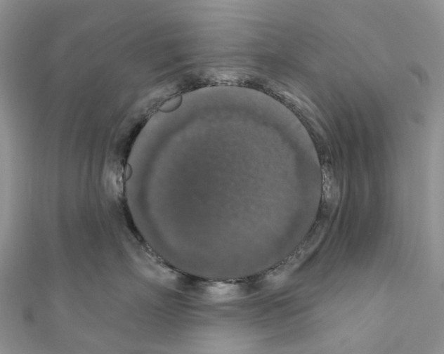 X0000110700718200907241125