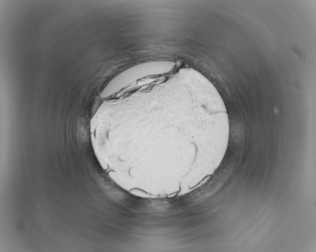 X0000110700719200907241125