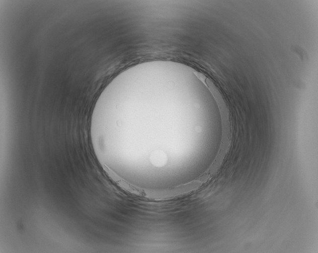 X0000110700720200907241125