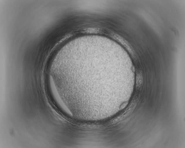 X0000110700722200907241124