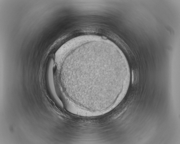 X0000110700723200907241124