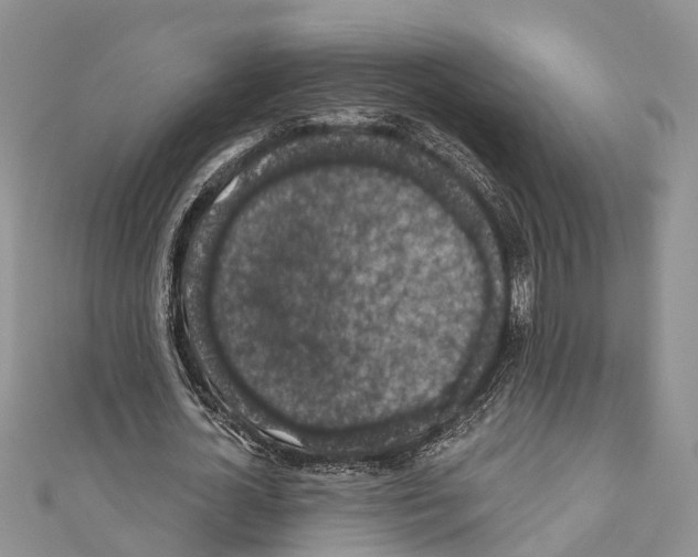 X0000110700724200907241124