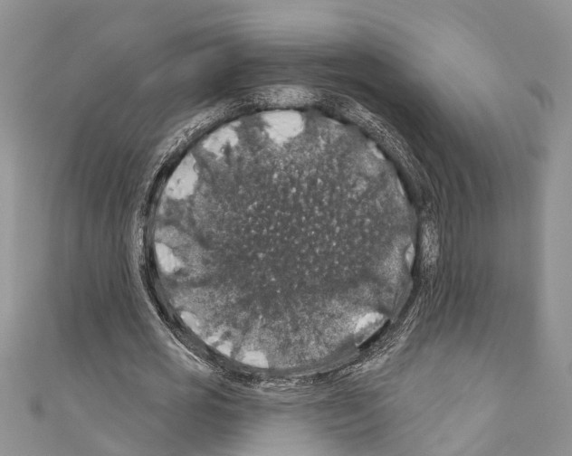 X0000110700725200907241124