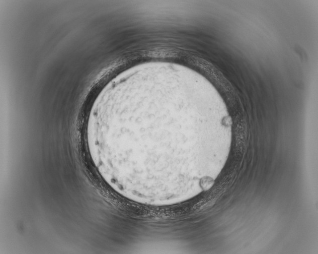 X0000110700727200907241124