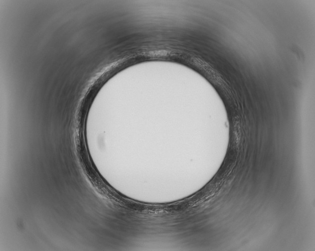 X0000110700728200907241124