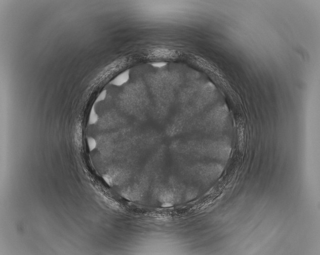 X0000110700729200907241124
