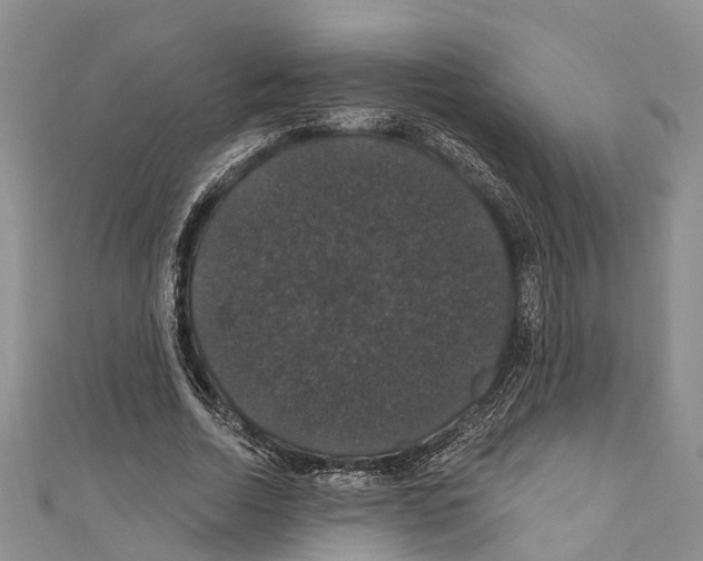 X0000110700730200907241124
