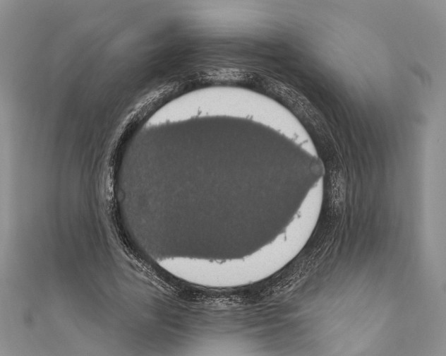 X0000110700731200907241124