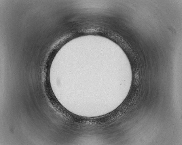 X0000110700732200907241124