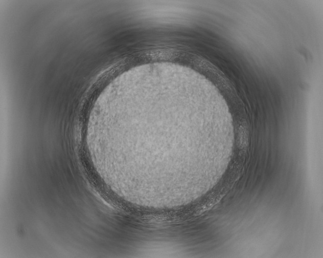 X0000110700733200907241124