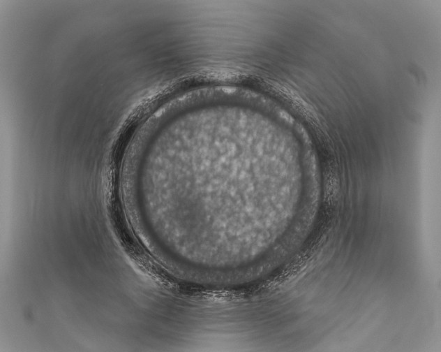 X0000110700736200907241124