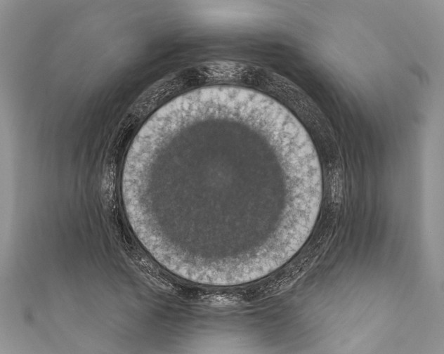 X0000110700737200907241124