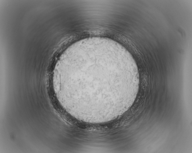X0000110700738200907241124