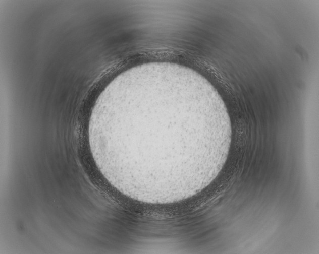 X0000110700739200907241124