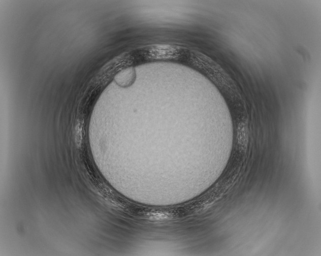 X0000110700741200907241124
