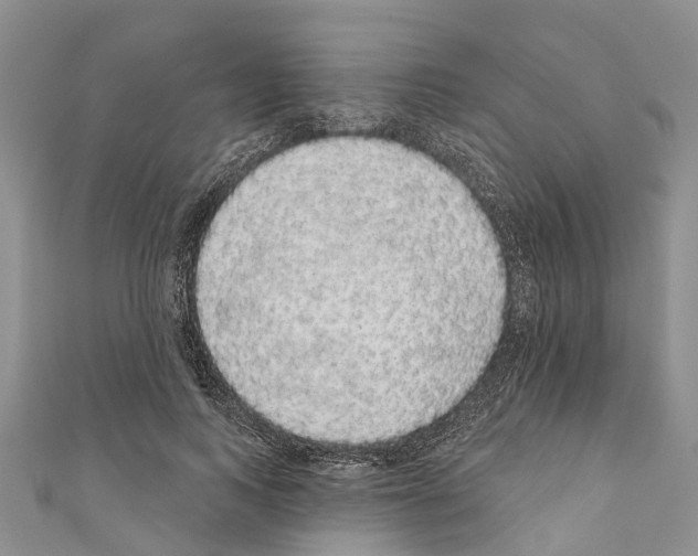 X0000110700743200907241124