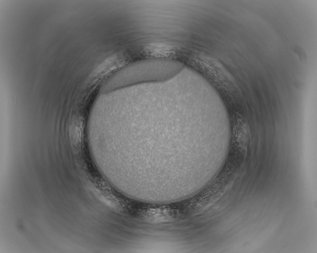 X0000110700744200907241124