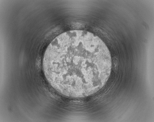 X0000110700745200907241124