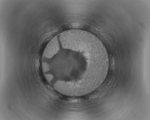 X0000110700746200907241124