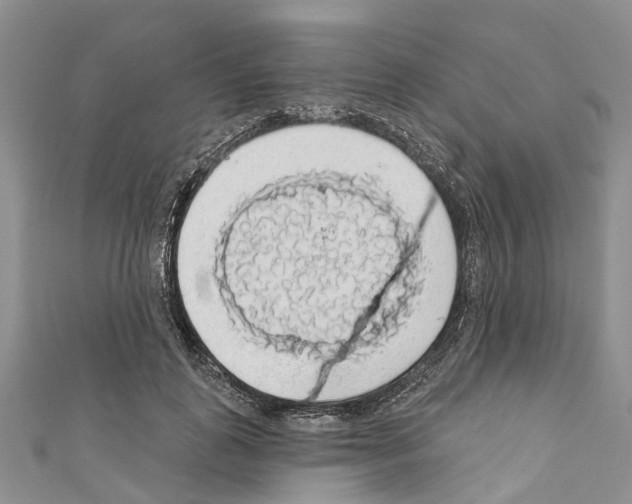 X0000110700747200907241124