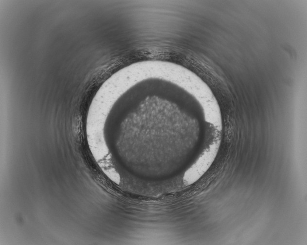 X0000110700748200907241124