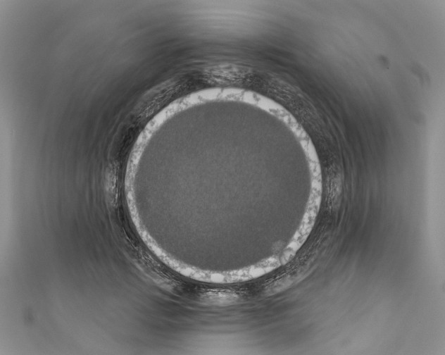X0000110700749200907241124