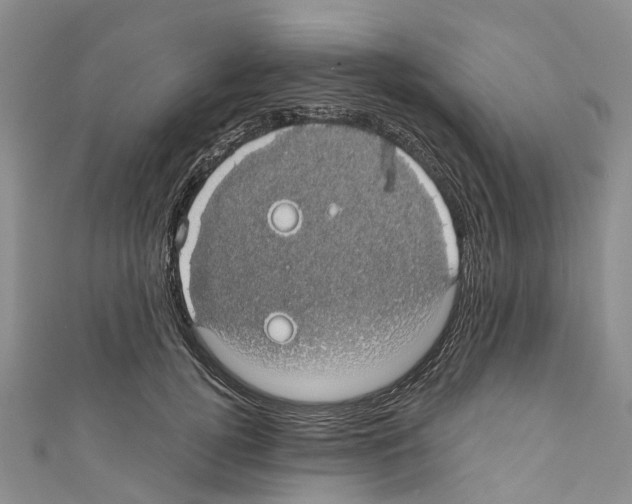 X0000110700752200907241124