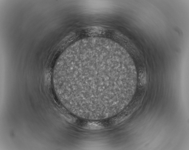 X0000110700753200907241124