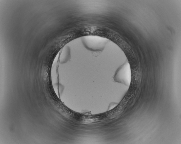 X0000110700754200907241124