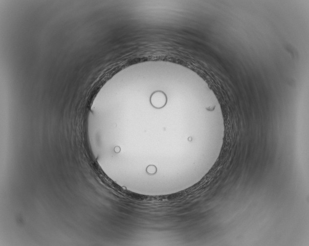 X0000110700756200907241124