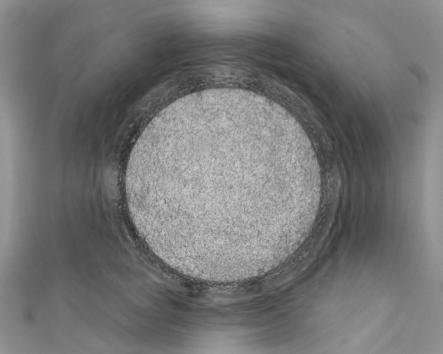 X0000110700757200907241124