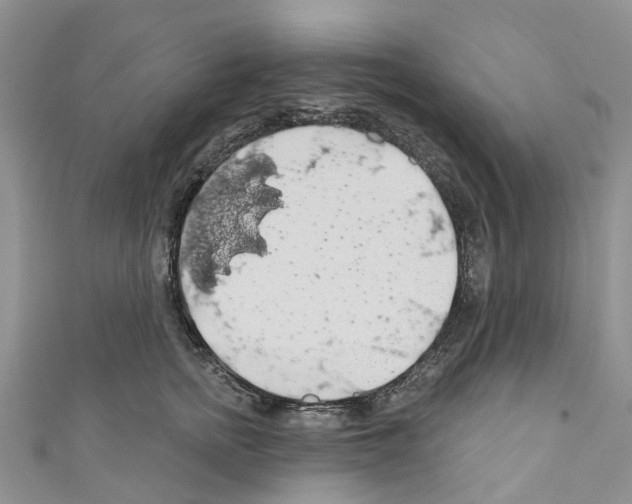 X0000110700758200907241124