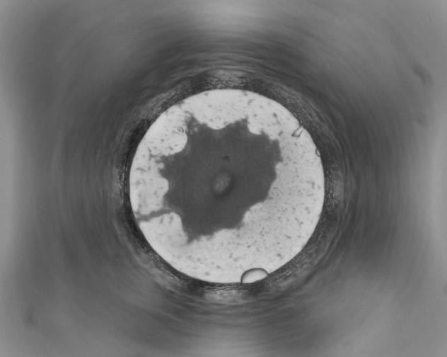 X0000110700759200907241125