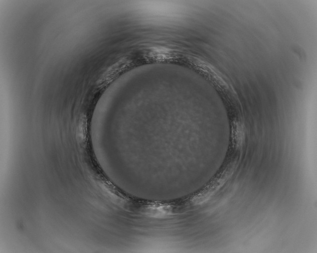 X0000110700760200907241125