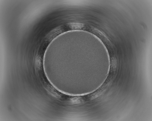 X0000110700761200907241125