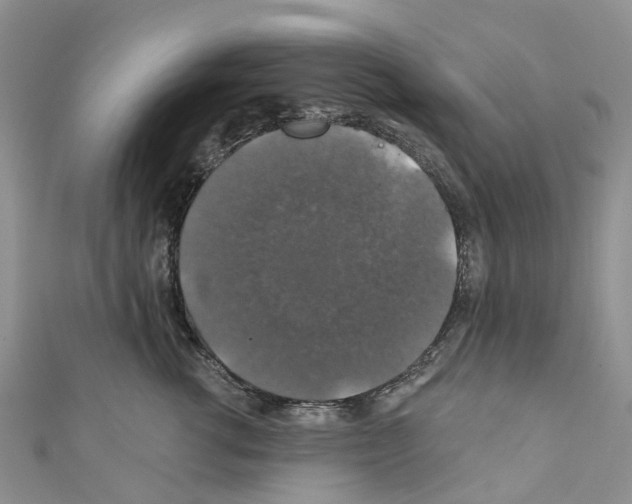 X0000110700762200907241125