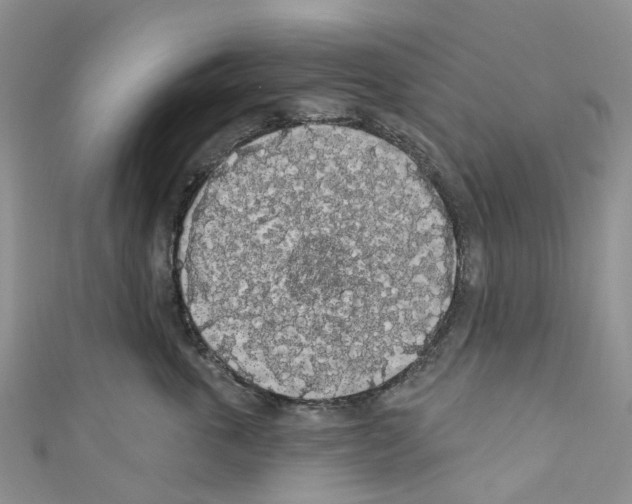 X0000110700763200907241125