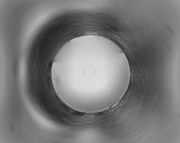 X0000110700764200907241125