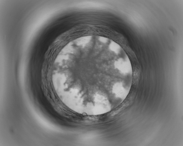 X0000110700765200907241125