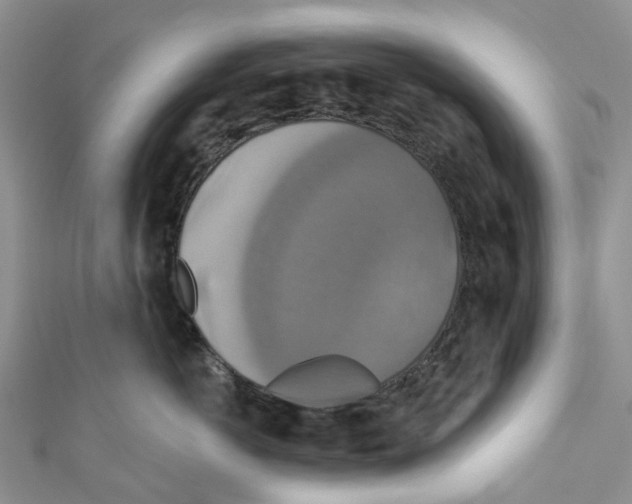 X0000110700766200907241125