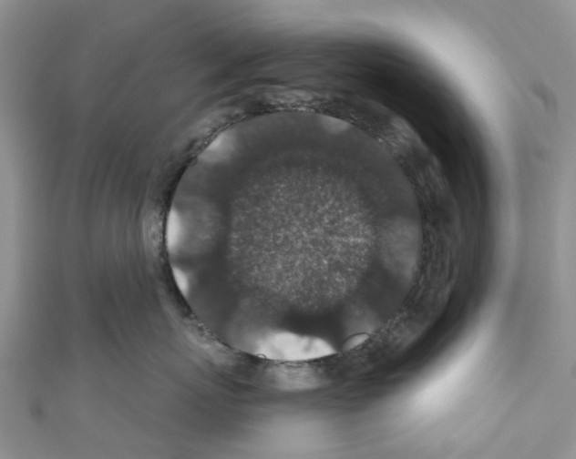 X0000110700767200907241125