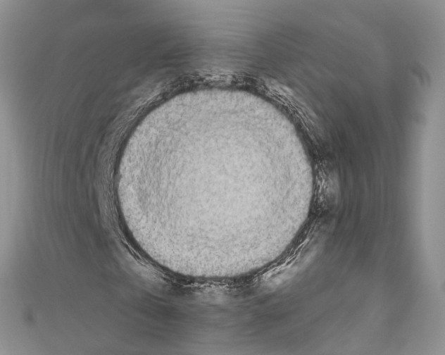 X0000110700769200907241124