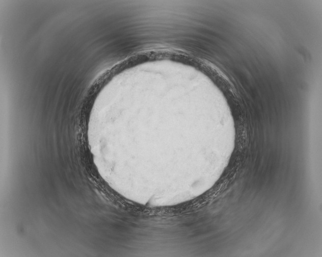 X0000110700775200907241124
