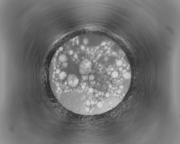 X0000110700776200907241124