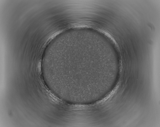X0000110700777200907241124